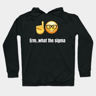 Erm..what the sigma tiktok meme viral funny nerdy design Hoodie